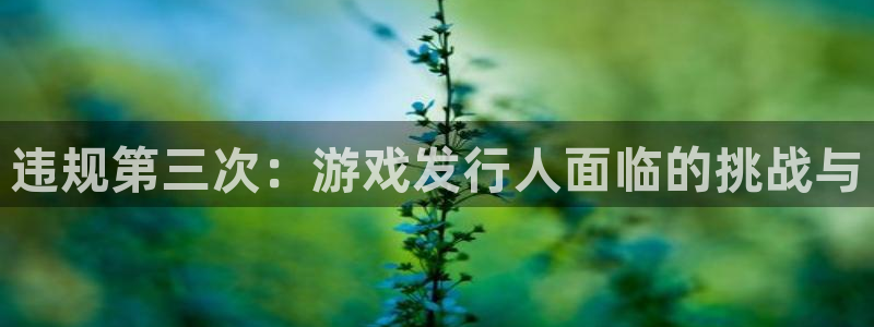 db电竞官网开户待遇：违规第三次：游戏发行人面临的挑战与