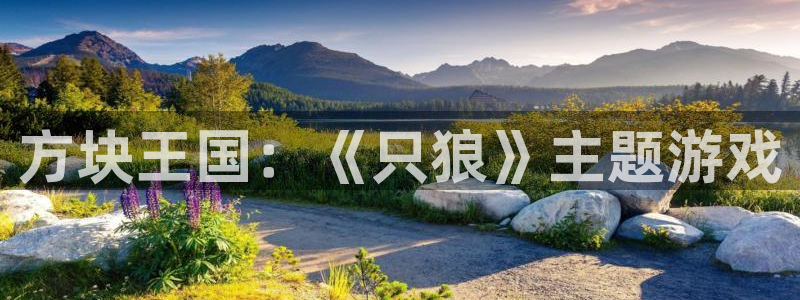 db电竞红酒怎么样：方块王国：《只狼》主题游戏