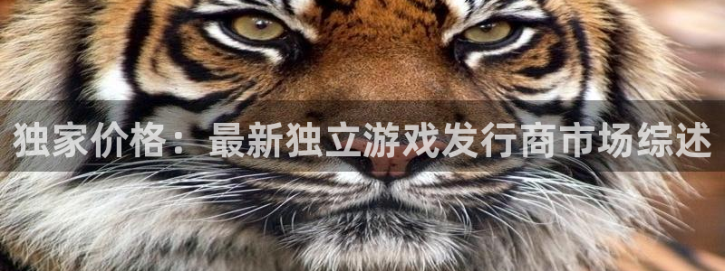 佛山db电竞电子商务：独家价格：最新独立游戏发行商市场综述