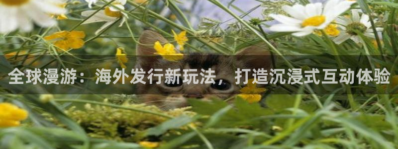 db电竞子怎么来的：全球漫游：海外发行新玩法，打造沉浸式互动体验