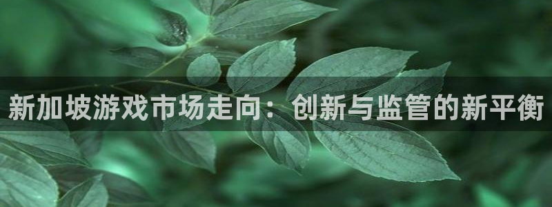陕西db电竞子文化公司有什么游戏：新加坡游戏市场走向：创新与监管的新平衡