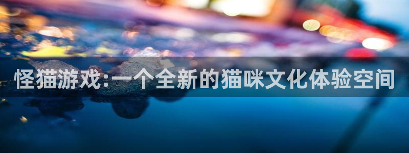 lvncesdb电竞衣服：怪猫游戏:一个全新的猫咪文化体验空间