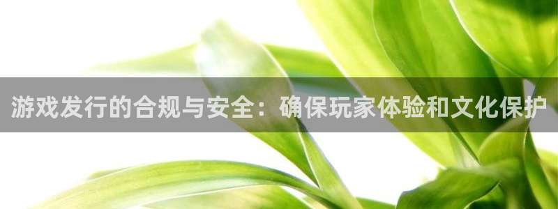 db电竞电商怎么样可靠吗：游戏发行的合规与安全：确保玩家体验和文化保护