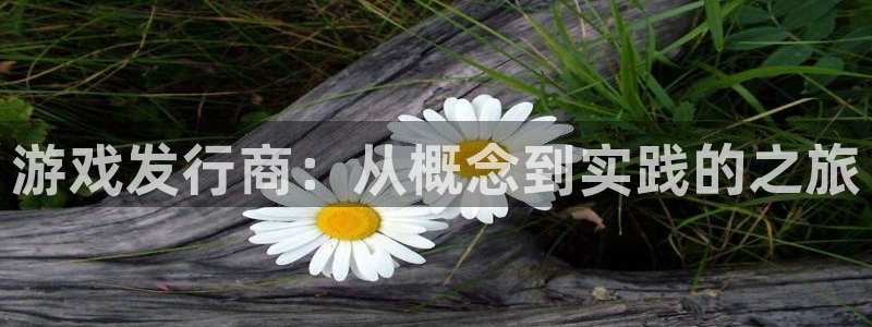 广东db电竞电商bruno：游戏发行商：从概念到实践的之旅