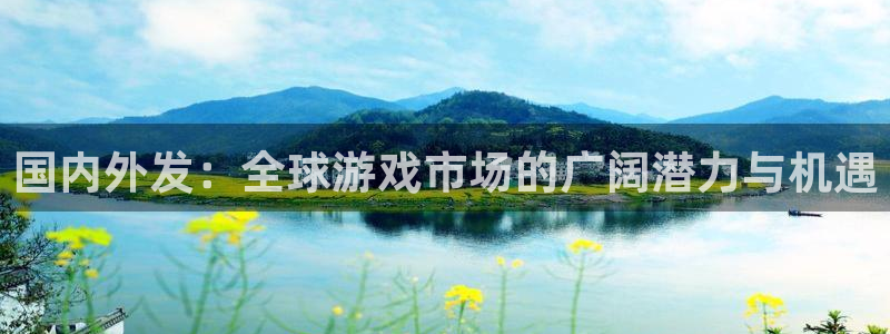 db电竞电子商务有限公司电话：国内外发：全球游戏市场的广阔潜力与机遇