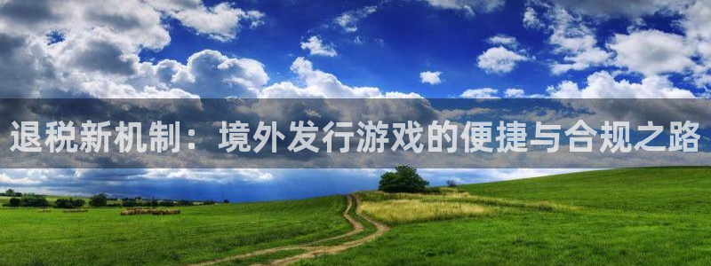 db电竞价格：退税新机制：境外发行游戏的便捷与合规之路