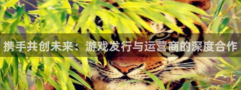 db电竞官网注册方法：携手共创未来：游戏发行与运营商的深度合作