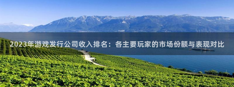 db电竞官网登录注册失败怎么回事：2023年游戏发行公司收入排名：各主要玩家的市场份额与表现对比