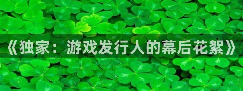 db电竞官网注册地址在哪里查询：《独家：游戏发行人的幕后花絮》