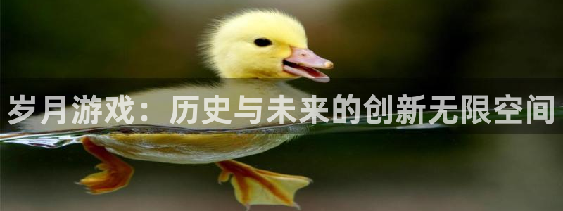 db电竞官网是什么娱乐?