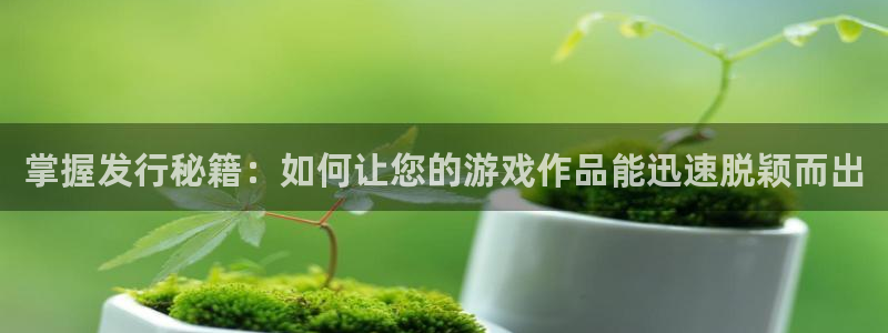 db电竞好还是红狮好：掌握发行秘籍：如何让您的游戏作品能迅速脱颖而出