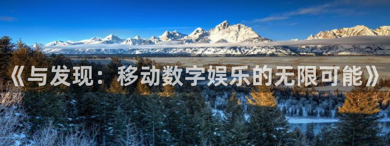 db电竞子怎么来的：《与发现：移动数字娱乐的无限可能》