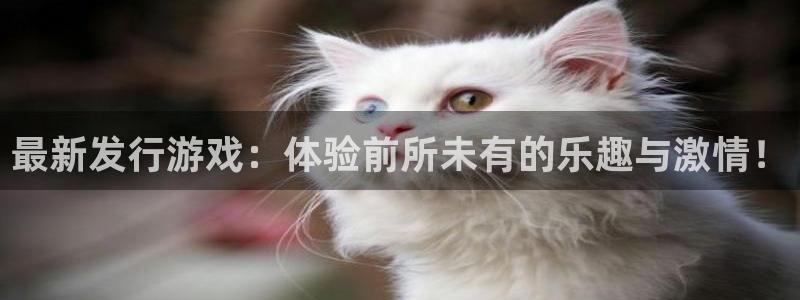 广东db电竞电商bruno