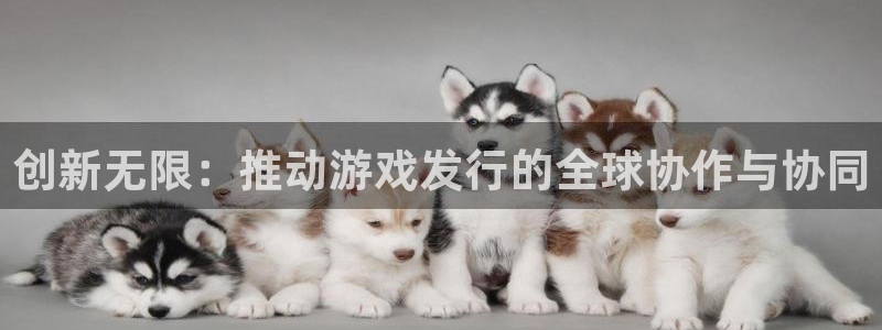 db电竞官网登录注册账号失败怎么办