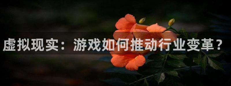 db电竞官网注册地址在哪里查询