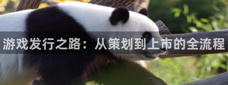 db电竞官网登录注册失败怎么回事